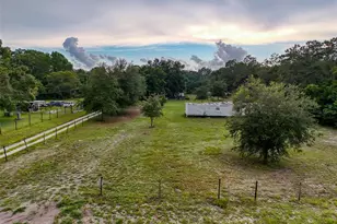 12445 Hamlin Rd, Spring Hill, FL 34610 - Photo 10