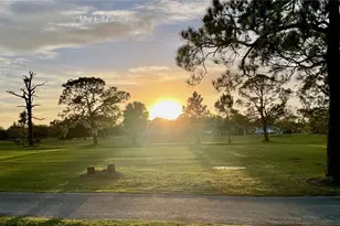 3587 Fairway Forest Dr, Palm Harbor, FL 34685 - Photo 42