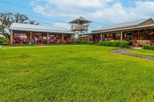 3897 Villamore Ln, Odessa, FL 33556 - Photo 92