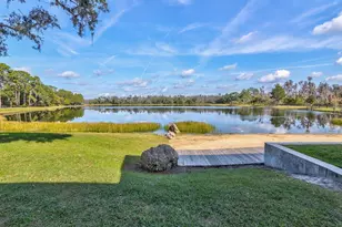 3897 Villamore Ln, Odessa, FL 33556 - Photo 64