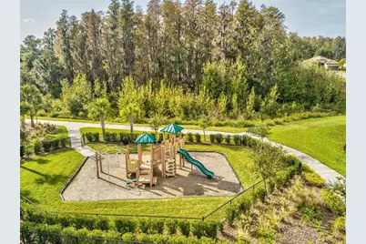 3897 Villamore Lane, Odessa, FL 33556 - Photo 78