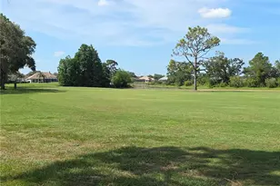 9168 Southern Comfort Ct, Weeki Wachee, FL 34613 - Photo 34