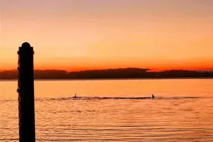 13404 Susan Dr, Hudson, FL 34667 - Photo 4