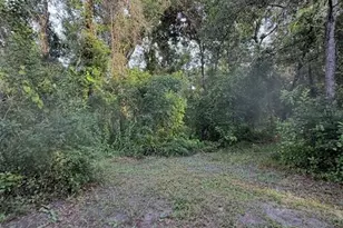 12300 Walter St, Hudson, FL 34669 - Photo 1