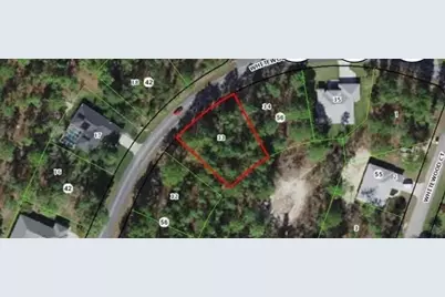 73 Whitewood Street, Homosassa, FL 34446 - Photo 2