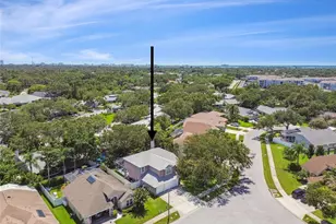 1120 Bluffs Cir, Dunedin, FL 34698 - Photo 70