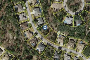 19 Balsam St, Homosassa, FL 34446 - Photo 1