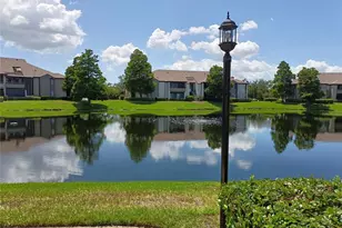 10263 Gandy Blvd N, Saint Petersburg, FL 33702 - Photo 4