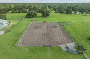 12148 Cr 774A, Webster, FL 33597 - Photo 4