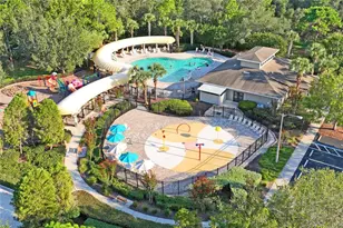 4041 Autumn Amber, Spring Hill, FL 34609 - Photo 62