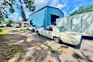 4233 Flora Ave, Holiday, FL 34691 - Photo 8