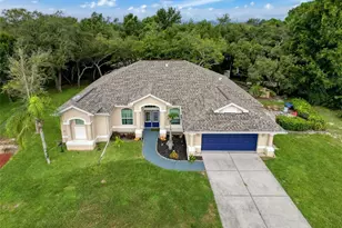 18933 Black Gum Ct, Hudson, FL 34667 - Photo 42