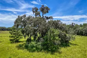 20089 Ayers Rd, Brooksville, FL 34604 - Photo 34