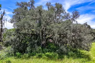 20089 Ayers Rd, Brooksville, FL 34604 - Photo 32