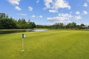 7605 Kinnow Ct, Land O Lakes, FL 34637 - Photo 64