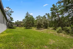 92 Grass St, Homosassa, FL 34446 - Photo 60