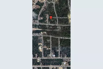 11325 N Zeus Point, Dunnellon, FL 34433 - Photo 1
