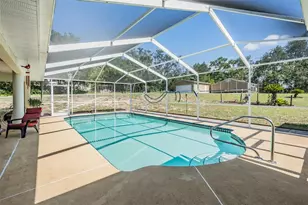 16402 Fringe Tree Dr, Spring Hill, FL 34610 - Photo 32