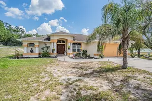 16402 Fringe Tree Dr, Spring Hill, FL 34610 - Photo 4