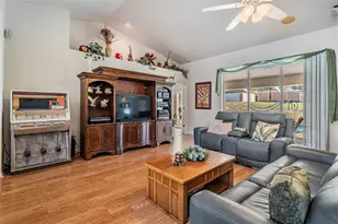 16402 Fringe Tree Dr, Spring Hill, FL 34610 - Photo 12