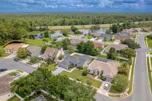 7828 Primula Ln, New Port Richey, FL 34654 - Photo 44