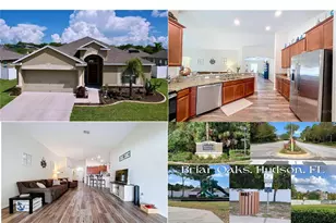 10143 Tolman Dr, Hudson, FL 34667 - Photo 2