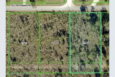 11130 Yellow Hammer Road, Weeki Wachee, FL 34614 - Photo 1