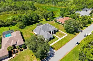 8698 Mississippi Run, Weeki Wachee, FL 34613 - Photo 4