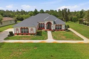 8698 Mississippi Run, Weeki Wachee, FL 34613 - Photo 2