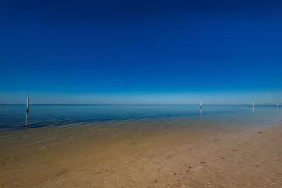 5628 Sea Turtle Court, New Port Richey, FL 34652 - Photo 88