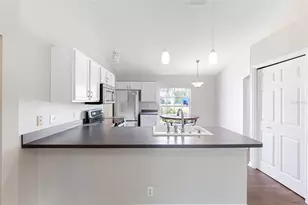 13446 White Plains St, Spring Hill, FL 34609 - Photo 10