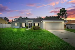 13446 White Plains St, Spring Hill, FL 34609 - Photo 2