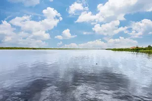 16176 La Barge Cir, Port Charlotte, FL 33981 - Photo 62