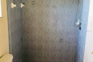 3155 Aldoro Ave, Spring Hill, FL 34609 - Photo 44