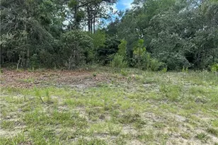 1282 W Hampshire Blvd, Citrus Springs, FL 34434 - Photo 1