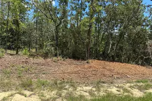 955 W Hampshire Blvd, Citrus Springs, FL 34434 - Photo 1