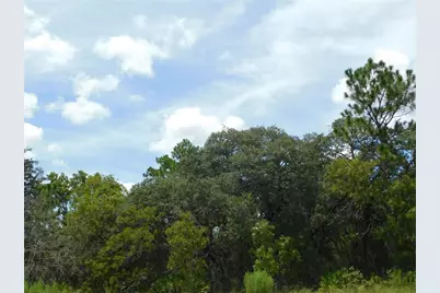 6681 N Bedstrow Boulevard, Dunnellon, FL 34434 - Photo 2