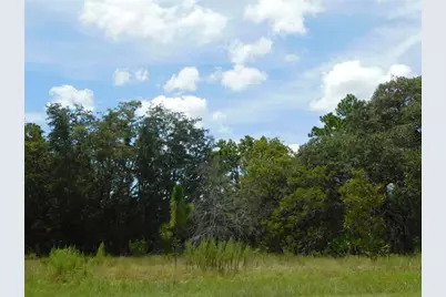 6681 N Bedstrow Boulevard, Dunnellon, FL 34434 - Photo 1