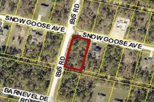 15282 Ibis Rd, Brooksville, FL 34614 - Photo 1