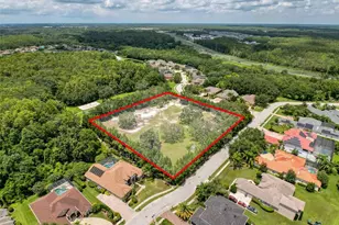 15438/15440 Azra Dr, Odessa, FL 33556 - Photo 14