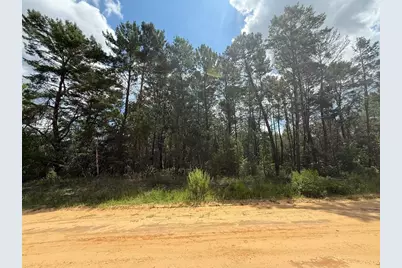 David Avenue, Interlachen, FL 32148 - Photo 1