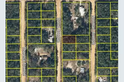 David Avenue, Interlachen, FL 32148 - Photo 2