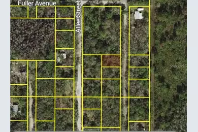 Evergreen Street, New Port Richey, FL 34654 - Photo 2