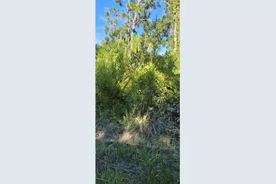 Evergreen Street, New Port Richey, FL 34654 - Photo 1