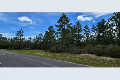 2899 W Santana Drive, Citrus Springs, FL 34433 - Photo 4