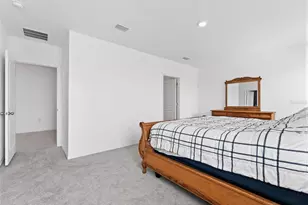 17037 Blister Wing Dr, Wimauma, FL 33598 - Photo 14