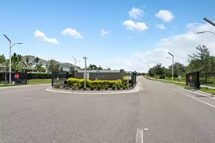 17037 Blister Wing Dr, Wimauma, FL 33598 - Photo 38