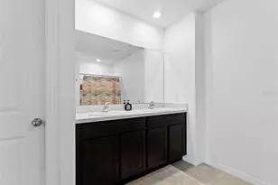 17037 Blister Wing Dr, Wimauma, FL 33598 - Photo 16