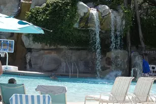 36750 US Hwy 19 N, Palm Harbor, FL 34684 - Photo 24