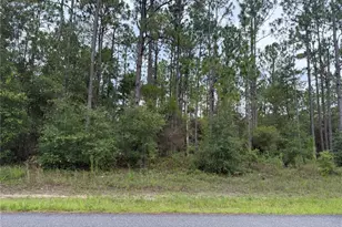 1675 W Donner Dr, Citrus Springs, FL 34434 - Photo 1